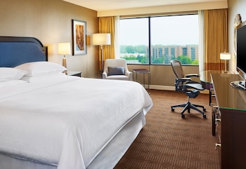 Room, 1 King Bed (Mobility/Hearing Access, Roll-In Shwr)