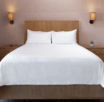 All New Terrace Ocean View King (Stair Access Only)