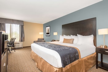 Room, 1 King Bed, Non Smoking