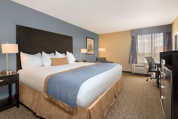 Room, 1 King Bed, Non Smoking