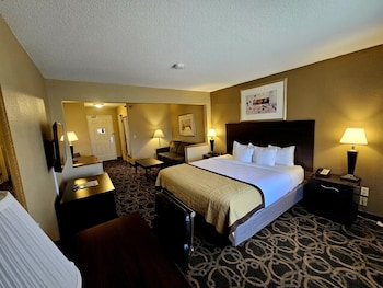 Studio Suite, 1 King Bed, Non Smoking