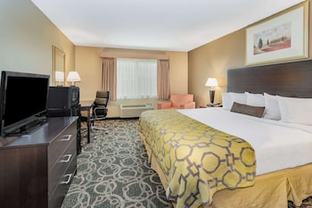 Standard Room, 1 King Bed