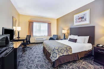 Room, 1 Queen Bed