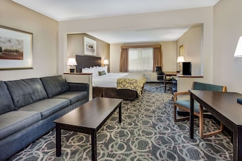 Studio Suite, 1 King Bed, Non Smoking