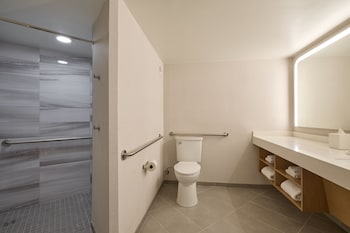 Room, 1 King Bed (Mobility Accessible, Roll-in Shower)