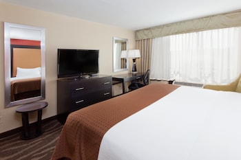 Standard Room, 1 King Bed, Accessible (Mobility Tub)