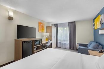 Standard Room, 1 King Bed, Non Smoking (No Pets Allowed)