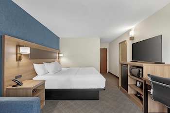 Standard Room, 1 King Bed, Non Smoking (No Pets Allowed)