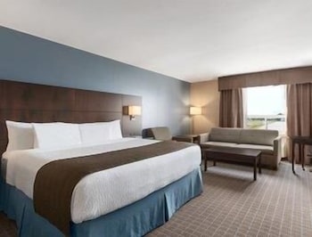 Suite, 1 King Bed