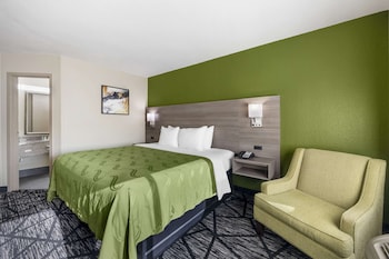 Room, 1 King Bed, Non Smoking (Interior Corridor)