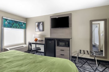 Room, 1 King Bed, Accessible, Smoking