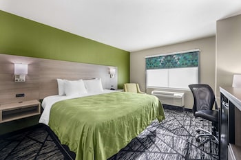 Standard Room, 1 King Bed, Non Smoking