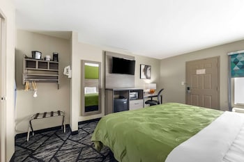 Room, 1 King Bed, Accessible, Non Smoking