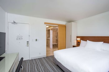 Room, 1 King Bed, Accessible (Mobility & Hearing, 3x3 Shower)