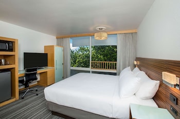 Room, 1 King Bed, Non Smoking