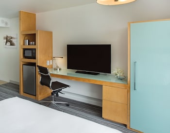 Room, 1 King Bed, Accessible (Mobility & Hearing, 3x3 Shower)