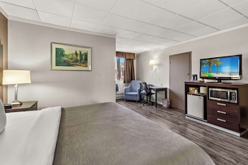 Standard Room, 1 King Bed, Non Smoking (No Pets)