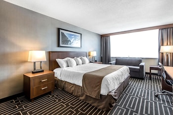 Standard Room, 1 King Bed, City View