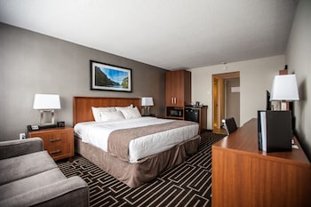 Standard Room, 1 King Bed, City View