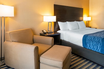 Room, 1 King Bed, Non Smoking (Main Floor)