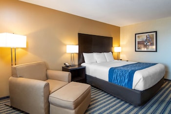 Room, 1 King Bed, Non Smoking (Second Floor)