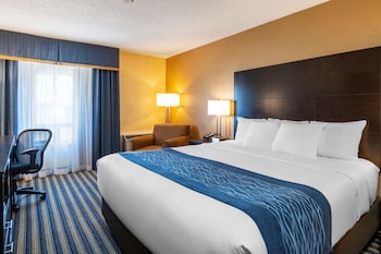 Room, 1 King Bed, Non Smoking (Second Floor)