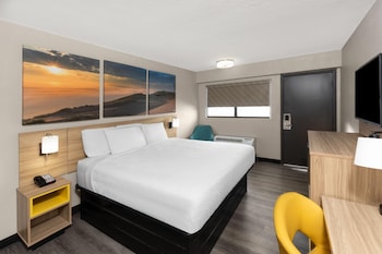 Room, 1 King Bed, Mobility Accessible, Non Smoking (Roll-in Shower)