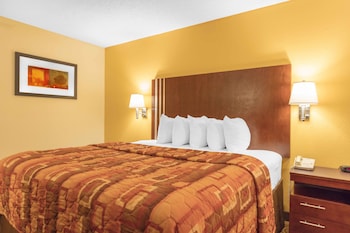 Standard Room, 1 King Bed, Non Smoking