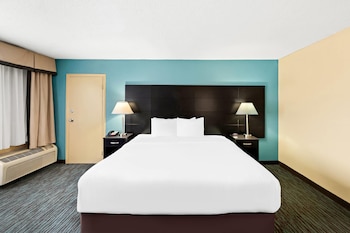 Room, 1 King Bed with Sofa bed, Non Smoking, Jetted Tub