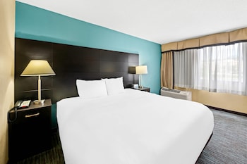 Room, 1 King Bed with Sofa bed, Accessible, Non Smoking