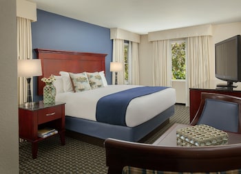 Deluxe Room, 1 King Bed, Accessible
