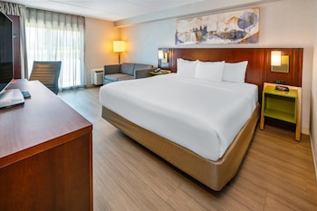 Standard Room, 1 King Bed with Sofa bed, Ground Floor (No Pets Allowed)