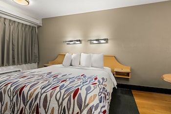 Superior Room, 1 King Bed (Smoke Free)