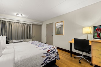 Superior Room, 1 King Bed, Accessible (Roll-In Shower, Smoke Free)