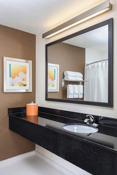 Executive Suite, 1 King Bed with Sofa bed