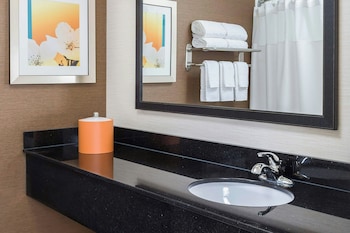 Executive Suite, 1 King Bed with Sofa bed