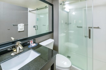 Business Room, 1 King Bed, Non Smoking