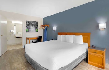 Studio, 1 King Bed, Non Smoking