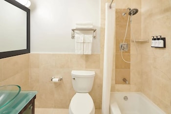 Luxury Suite, 1 Bedroom, Kitchen