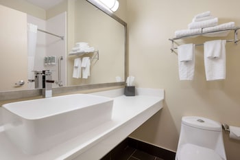 Suite, 1 King Bed, Non Smoking, Refrigerator & Microwave (with Sofabed)