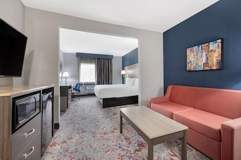 Suite, 1 King Bed, Non Smoking, Refrigerator & Microwave (with Sofabed)