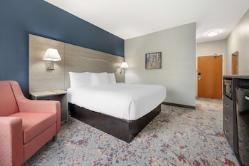 Standard Room, 1 King Bed, Accessible, Refrigerator & Microwave