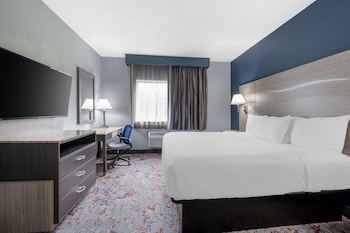 Suite, 1 King Bed, Non Smoking, Refrigerator & Microwave (with Sofabed)