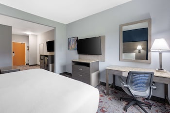 Suite, 1 King Bed, Non Smoking, Refrigerator & Microwave (with Sofabed)