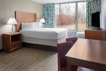 Room, 1 King Bed, Non Smoking (Kitchenette)