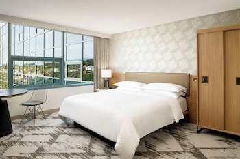 Room, 1 King Bed
