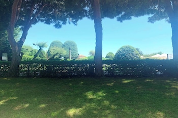 Room, 1 King Bed, Garden View
