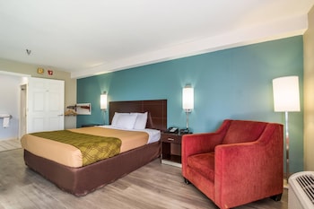 Room, 1 King Bed, Accessible, Non Smoking