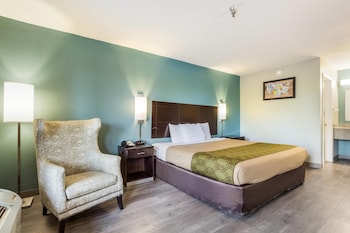 Room, 1 King Bed, Non Smoking