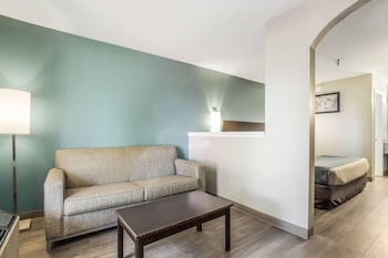 Standard Room, 1 King Bed with Sofa bed, Non Smoking